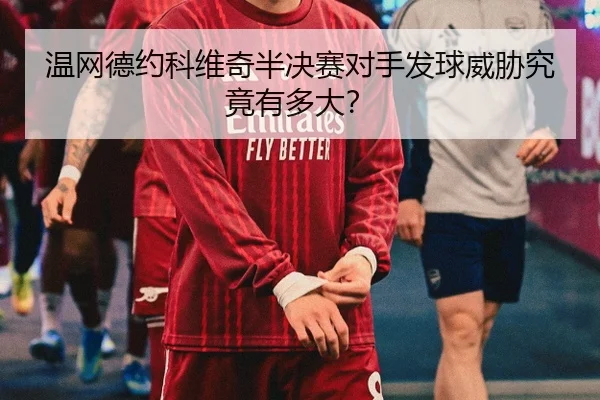 温网德约科维奇半决赛对手发球威胁究竟有多大？